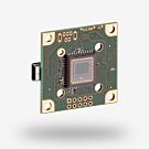 IDS Imaging UI-1462LE-C-HQ USB 2.0 Rolling Shutter Board Level Camera (Discontinued)