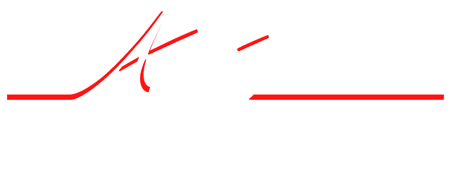 Aegis Electronic Group